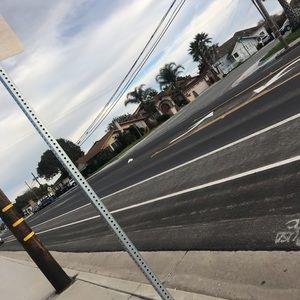 Meet your Posher, Nicodamius